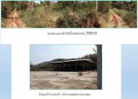 ขายที่ดินพร้อมสิ่งปลูกสร้าง เมือง เมืองเลย เลย ขนาด 8-1-43.5 ของ ธนาคารกรุงไทย