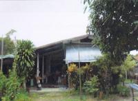 ขายบ้านเดี่ยว ศรีสองรัก เมืองเลย เลย ขนาด 200 ตร.ว. ของ ธนาคารอาคารสงเคราะห์