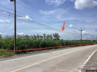 ขายที่ดินว่างเปล่า