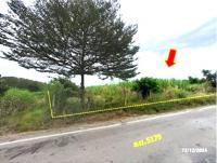 ขายที่ดินว่างเปล่า